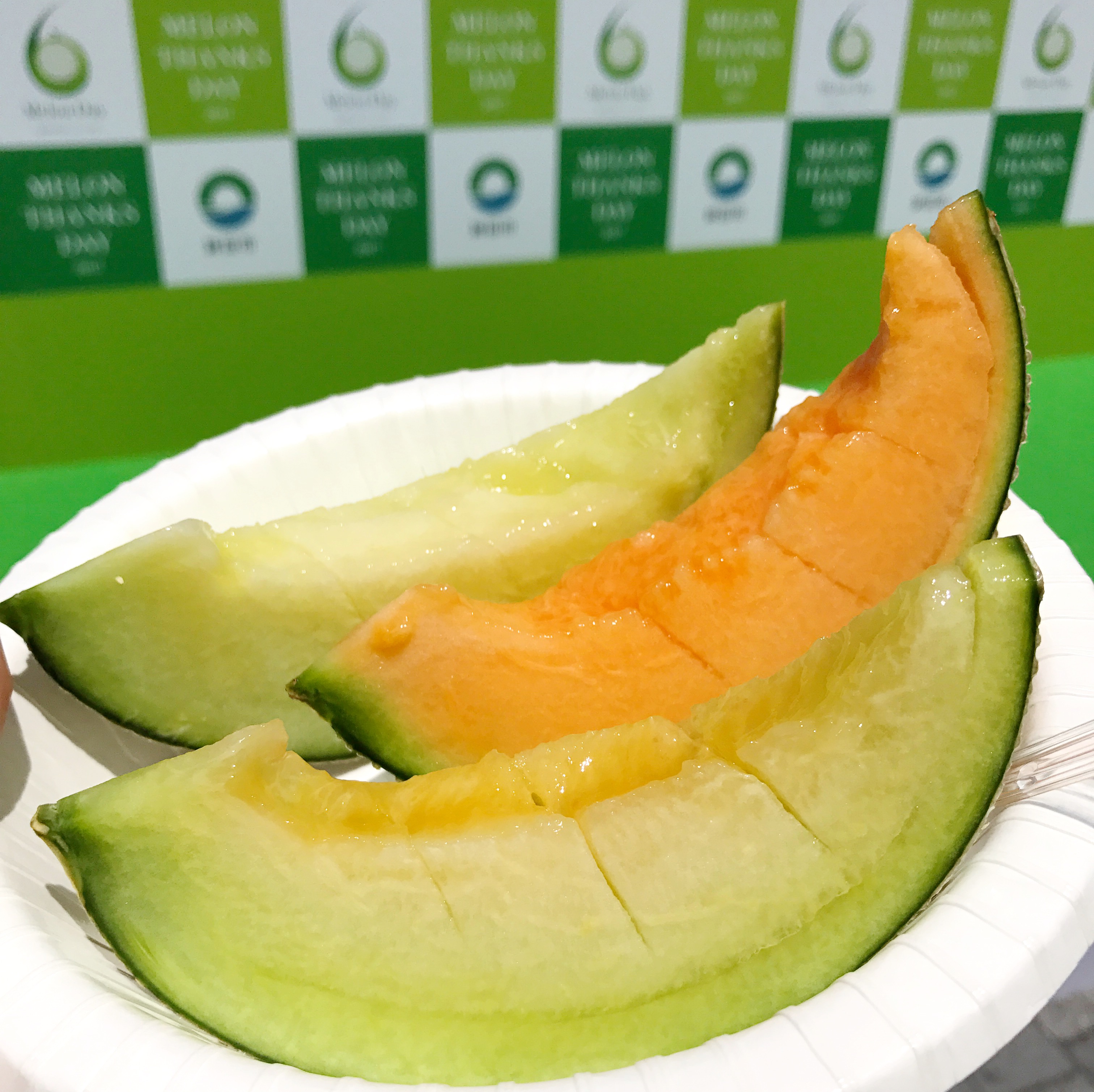 melon-thanks-day-2017_1